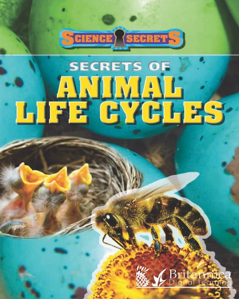 Cover image for book Secrets of Animal Life Cycles
