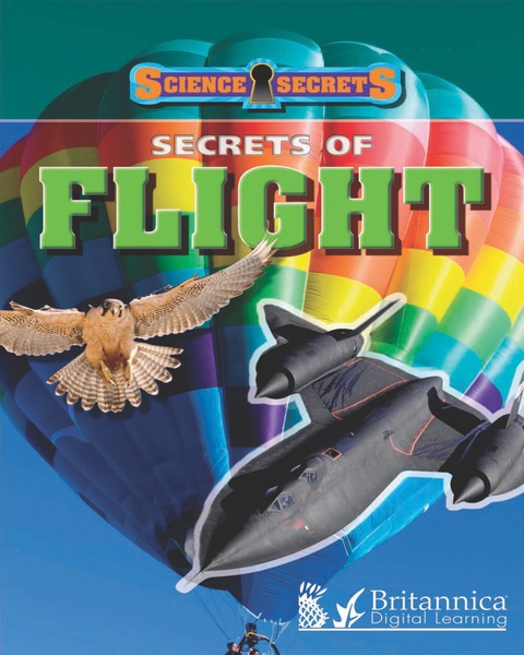 Cover image for book Secrets of Flight