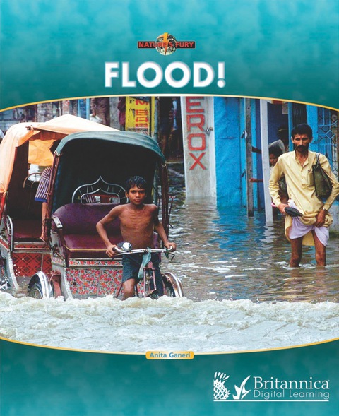Cover image for book Flood!