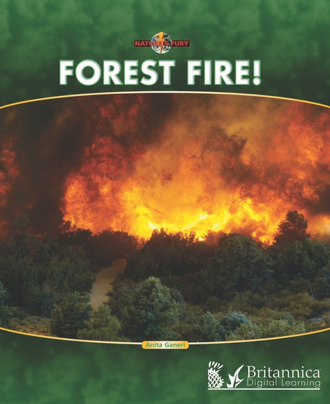 Cover image for book Forest Fire!