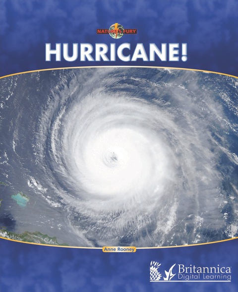 Cover image for book Hurricane!