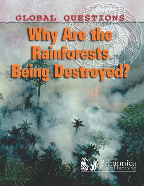 Cover image for book Why Are the Rain Forests Being Destroyed?