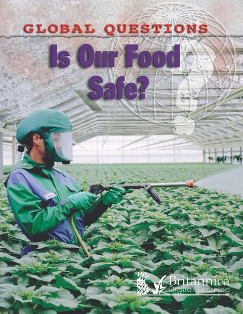 Cover image for book Is Our Food Safe?