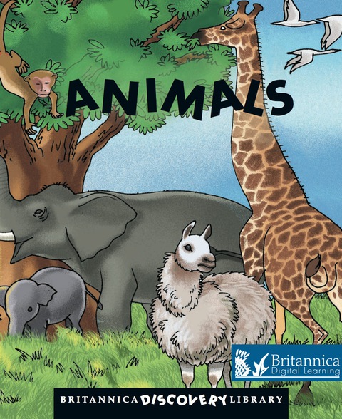 Cover image for book Animals