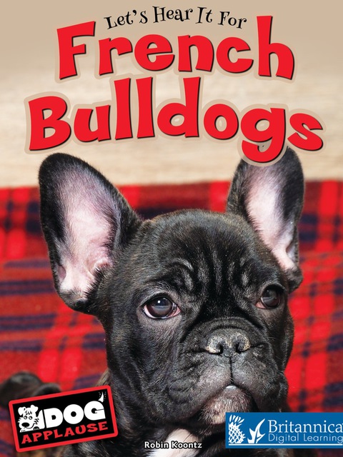 Cover image for book French Bulldogs