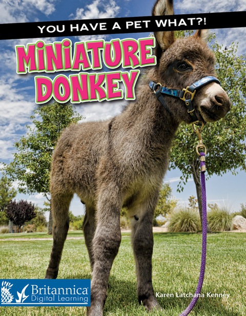 Cover image for book Miniature Donkey