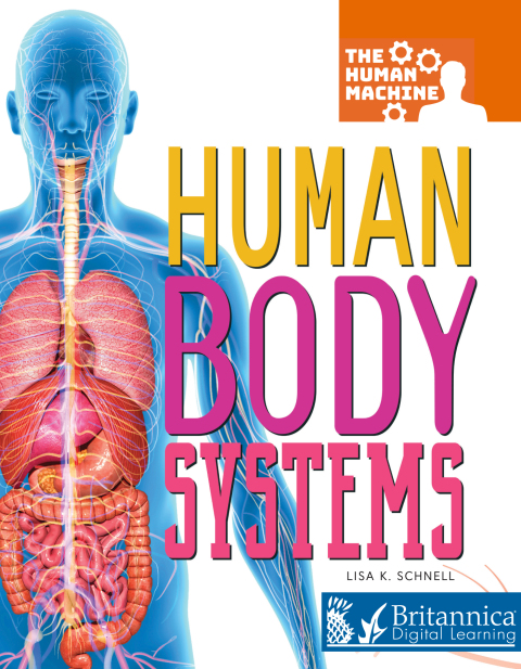 Cover image for book Human Body Systems