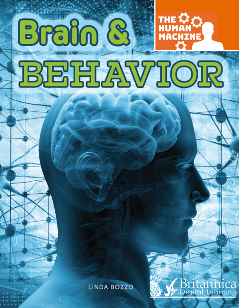 Cover image for book Brain and Behavior