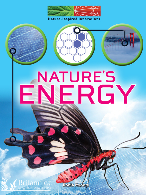 Cover image for book Nature's Energy
