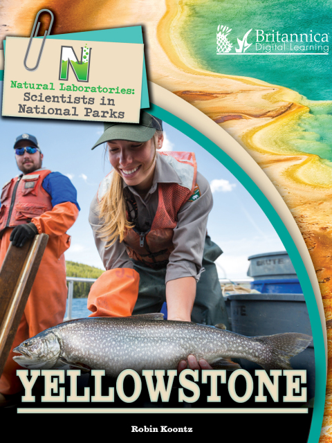Cover image for book Yellowstone