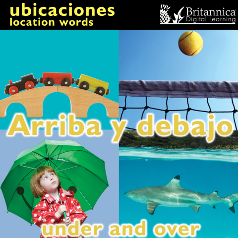 Cover image for book Arriba y debajo (Under and Over:Location Words)