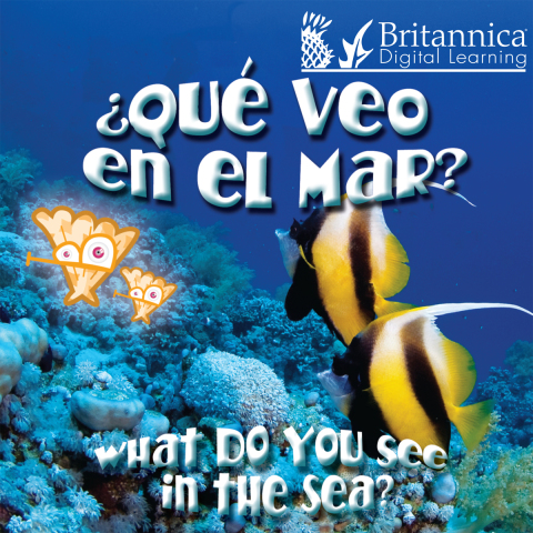Cover image for book ¿Qué veo en el mar? (What Do You See, in the Sea?)
