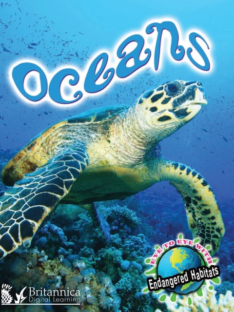 Cover image for book Oceans