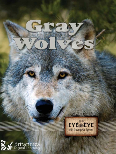 Cover image for book Gray Wolves