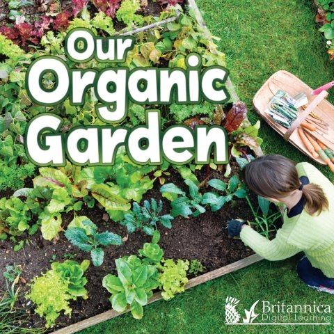 Cover image for book Our Organic Garden