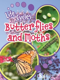 Cover image: Butterflies and Moths 2nd edition 9781625137326
