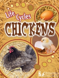 Titelbild: Chickens 2nd edition 9781625137333