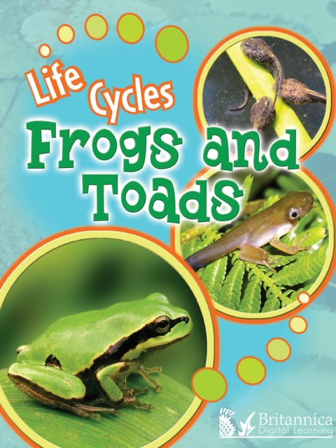 Cover image for book Frogs and Toads