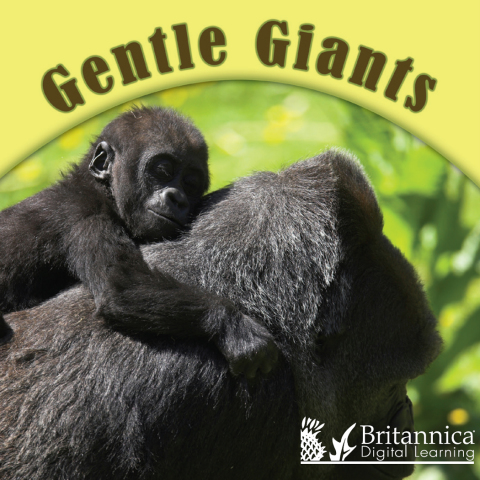 Cover image for book Gentle Giants