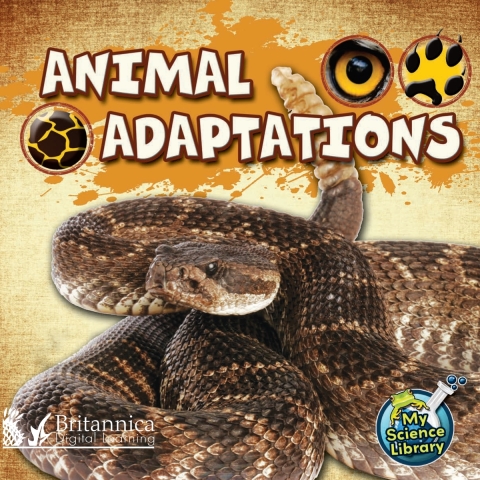 Cover image for book Animal Adaptations