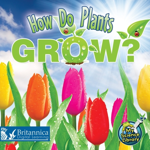 Cover image for book How Do Plants Grow?