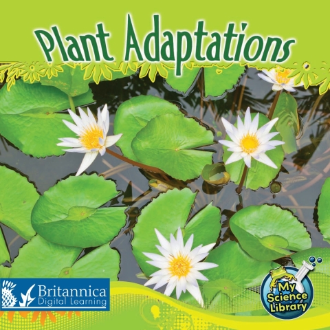 Cover image for book Plant Adaptations