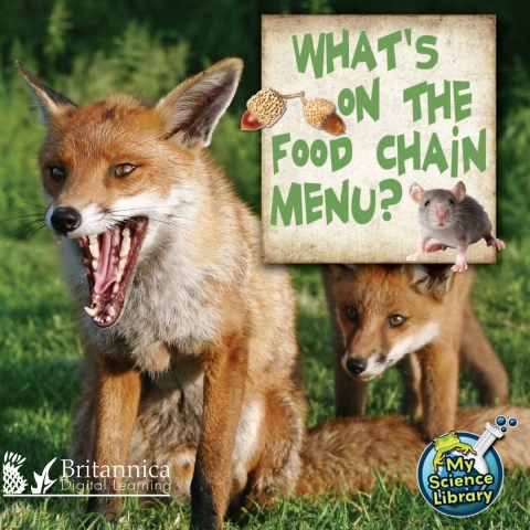 Cover image for book What's on the Food Chain Menu?