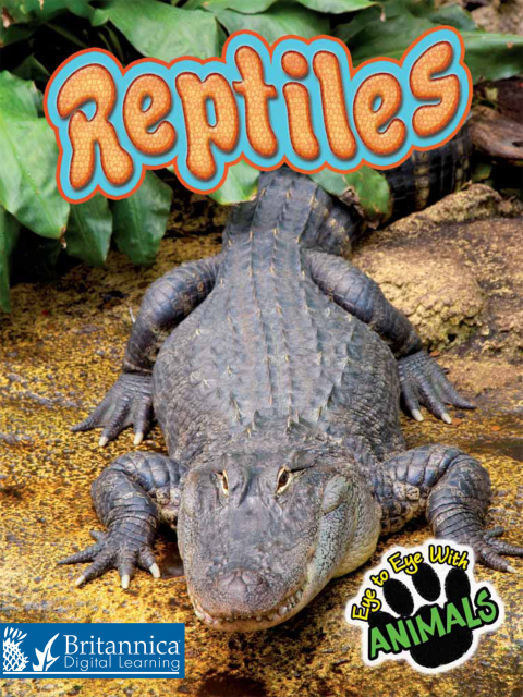 Cover image for book Reptiles