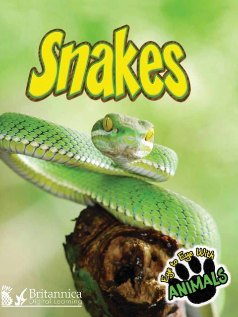 Cover image for book Snakes