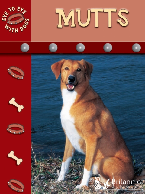 Cover image for book Mutts