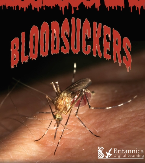 Cover image for book Bloodsuckers