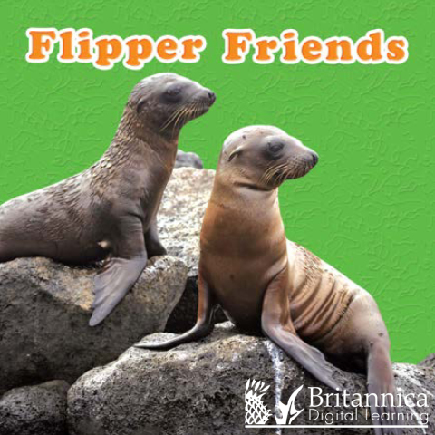 Cover image for book Flipper Friends