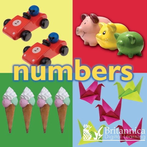 Cover image for book Numbers