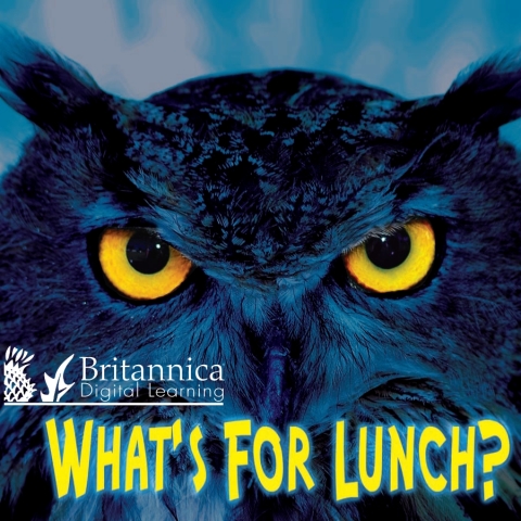 Cover image for book What's for Lunch?