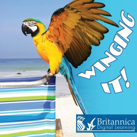 Cover image for book Winging It!