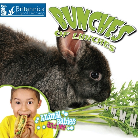 Cover image for book Bunches of Lunches