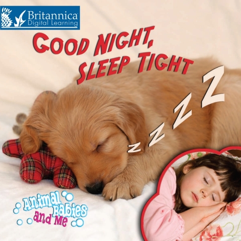 Cover image for book Good Night, Sleep Tight