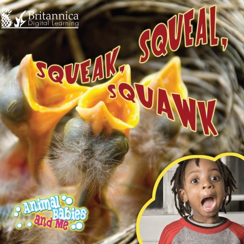 Cover image for book Squeak, Squeal,  Squawk