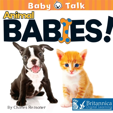 Animal Babies! 