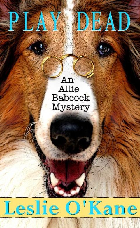 Cover image for book Play Dead