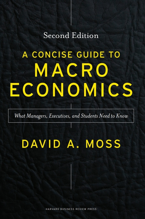 Cover image for book A Concise Guide to Macroeconomics
