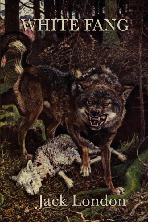 Cover image for book White Fang