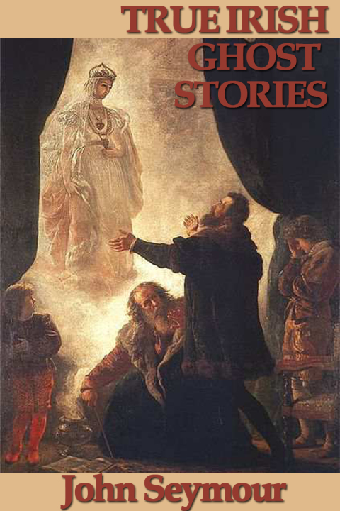 Cover image for book True Irish Ghost Stories