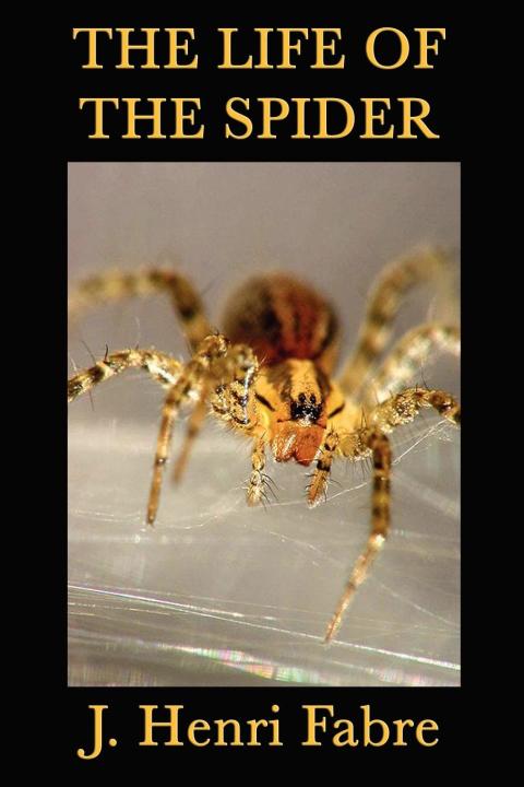 Cover image for book The Life of the Spider