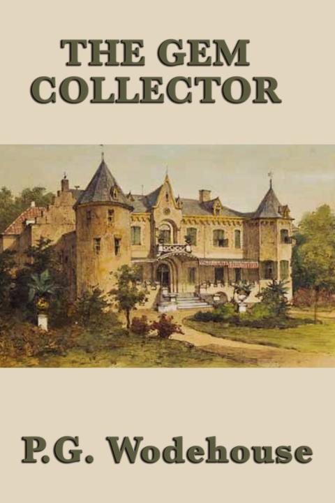 Cover image for book The Gem Collector