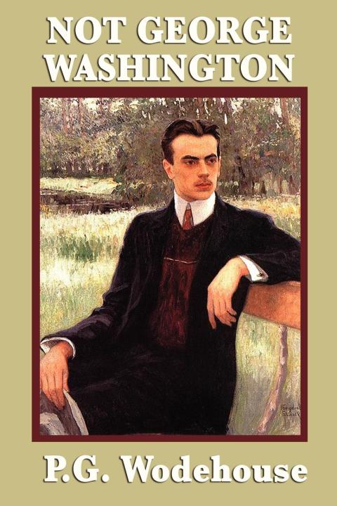 Cover image for book Not George Washington