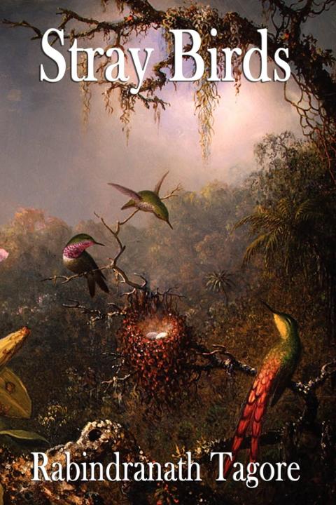 Cover image for book Stray Birds