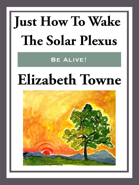 Cover image for book Just How to Wake the Solar Plexus