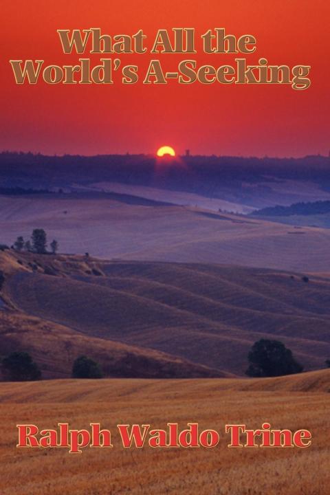 Cover image for book What All the World's A-Seeking