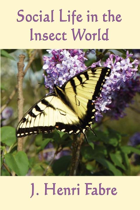 Cover image for book Social Life in the Insect World